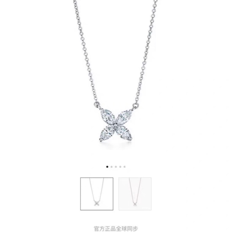 大号Tiffany蒂芙尼项链-4
