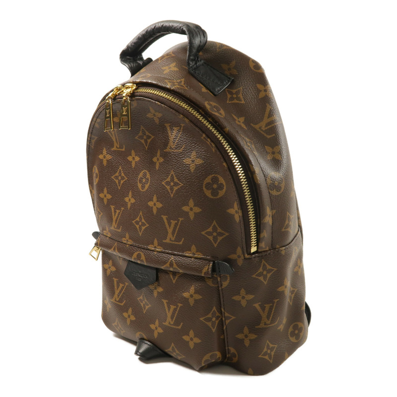 LOUIS VUITTON Monogram Palm Springs PM背包-2