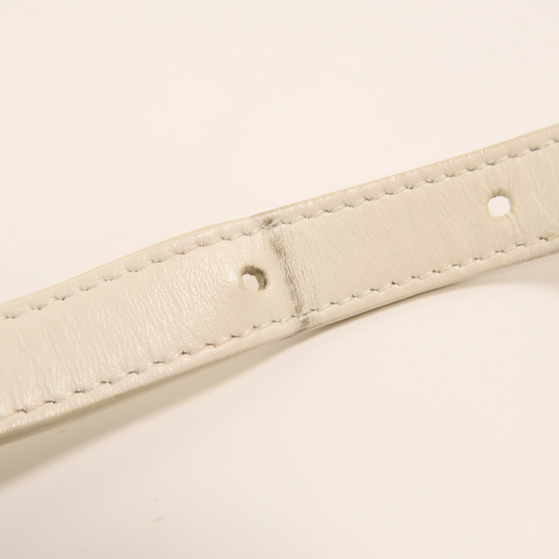 CELINE 塗層帆布Camera Bag金扣肩背袋-16