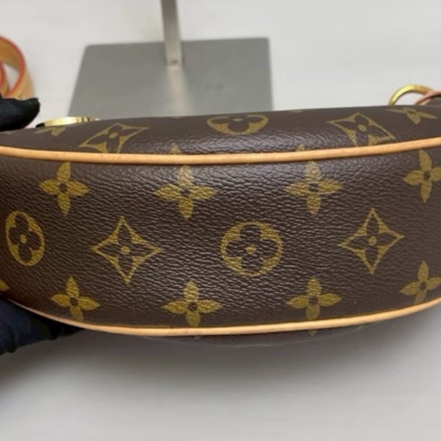 #LOUIS VUITTON路易威登老花LOOP芯片款月亮包🐞附肩帶-13