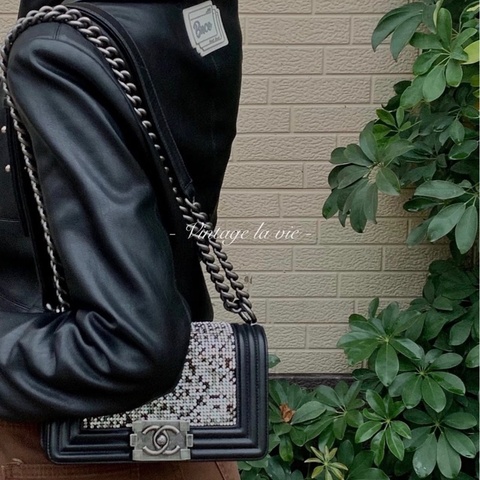 ✨Chanel Leboy限量滿鑽銀扣 小號💎
