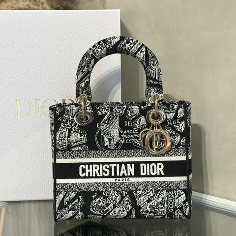 DIOR Lady D-Lite 中號 - 巴黎大道