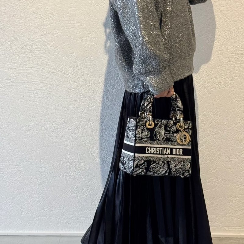 DIOR Lady D-Lite 中號 - 巴黎大道-14