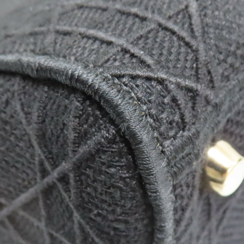 黑色 帆布 Lady Dior D-Lite Medium 兩用包【Dior 迪奧】 M05650REY-13