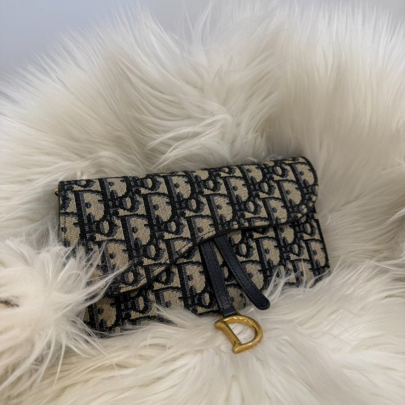 Dior saddle woc 小號-1