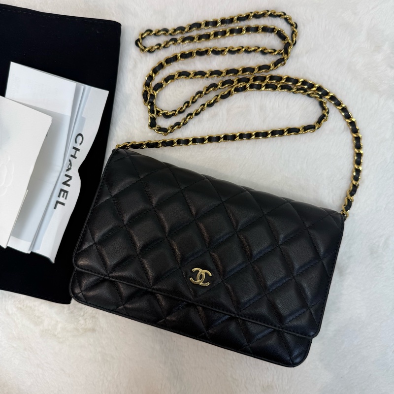 Chanel WOC 發財包 單肩/斜挎-0