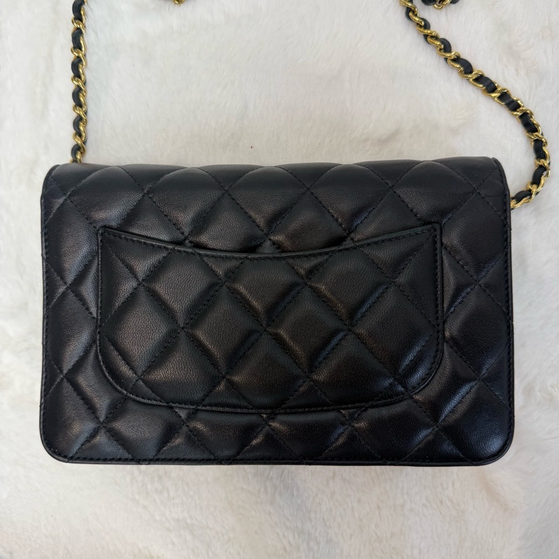 Chanel WOC 發財包 單肩/斜挎-1