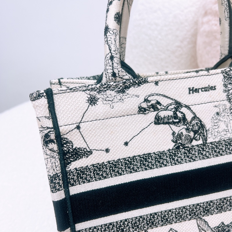 Dior book 黑白星座小號托特-11