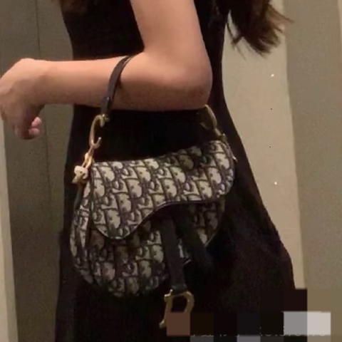 迪奧/Dior  saddle經典老花刺繡帆布馬鞍包，22年，尺寸19×15×6cm