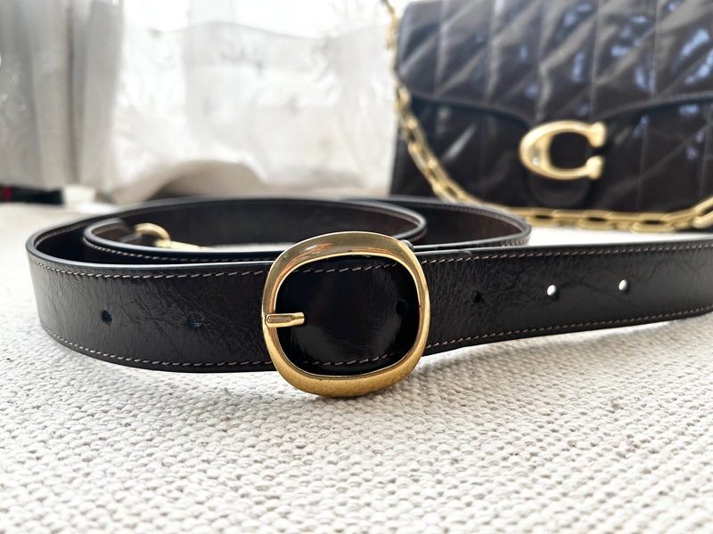 Coach 絎縫 Tabby  CAF55 肩背包-4