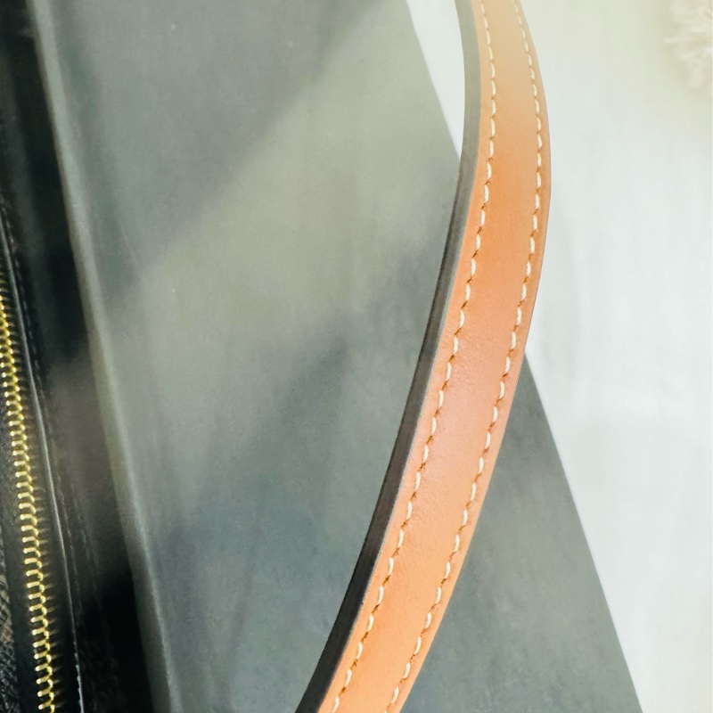 全新Celine 迷你 Cuir Triomphe 老花凱旋門相機包-4