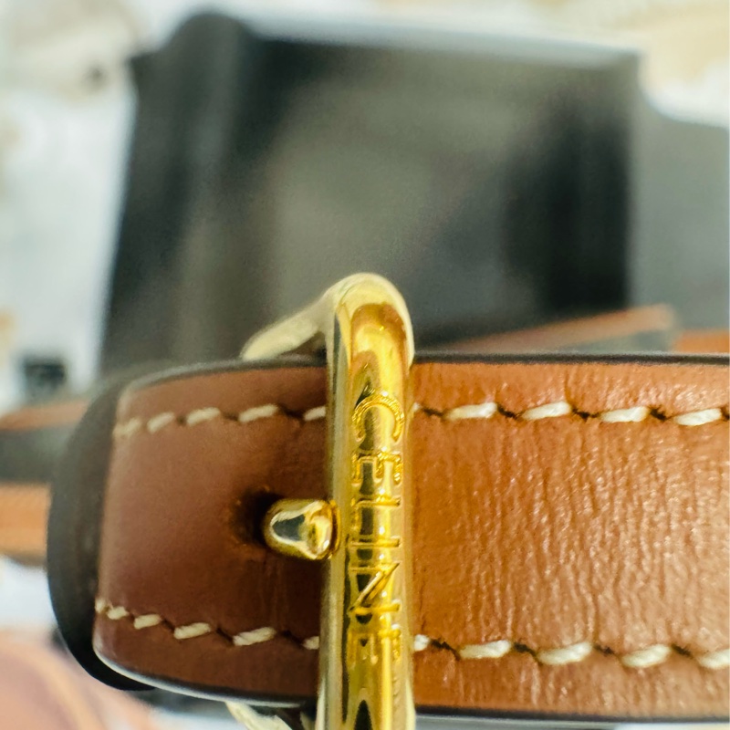 全新Celine 迷你 Cuir Triomphe 老花凱旋門相機包-6