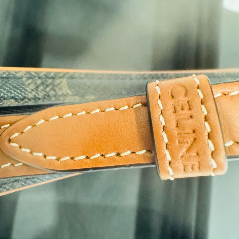 全新Celine 迷你 Cuir Triomphe 老花凱旋門相機包-9