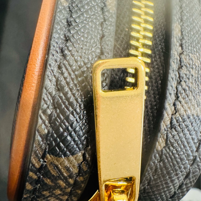 全新Celine 迷你 Cuir Triomphe 老花凱旋門相機包-10