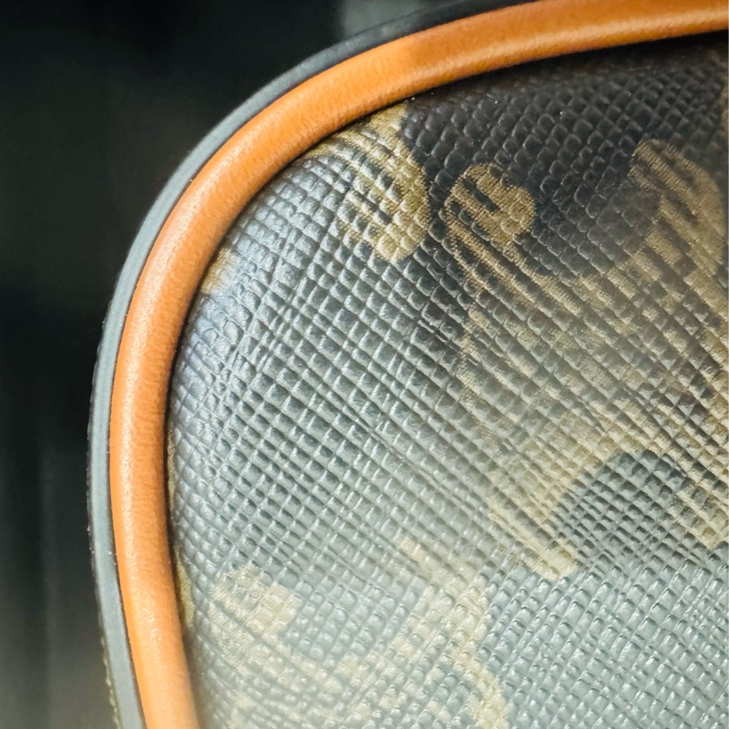 全新Celine 迷你 Cuir Triomphe 老花凱旋門相機包-13