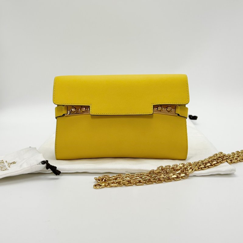 DELVAUX Tempete黃色金扣 肩背斜背鏈條包20.5*13.5*2.5 99新配件塵袋-1