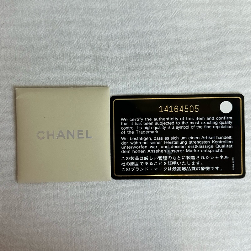 Chanel 香奈兒 Cruise Line 帆布手提包 vintage-10