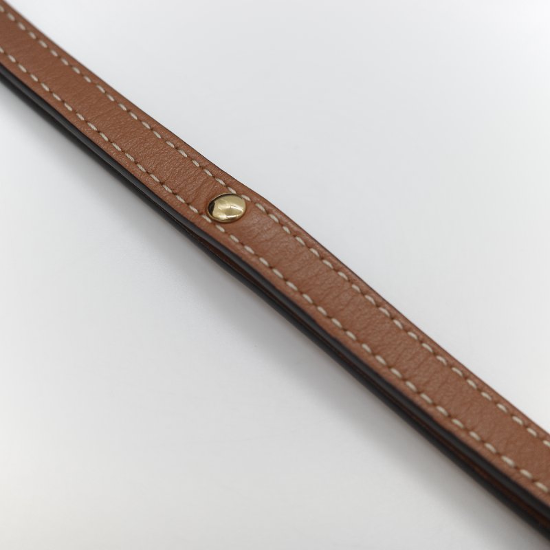 Celine 思琳 TRIOMPHE 經典棕色花紋 WOC 斜挎包-31