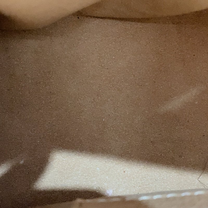 ️lv speedy20奶茶色牛皮壓紋 手提肩背斜背芯片款 20 ×11×17cm 98新配件塵袋-7