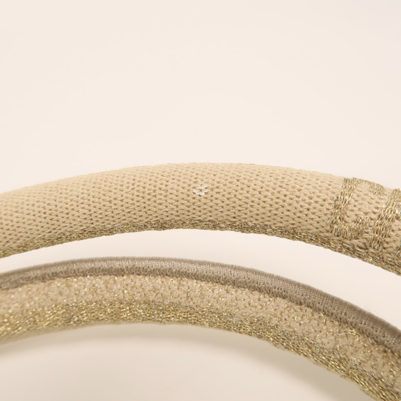 Dior 帆布Book Tote Medium手挽袋-16