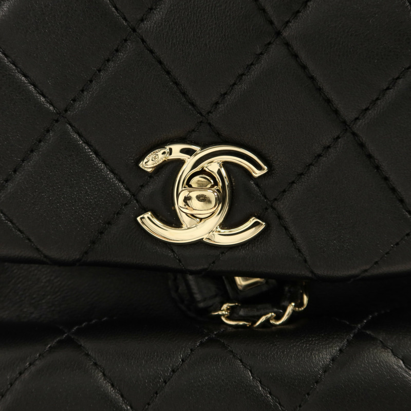 CHANEL 羊皮皮革Duma Backpack Small背包-10