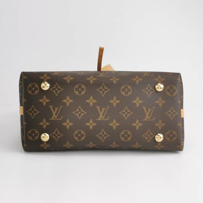 Louis Vuitton (LV) Carry All小號植鞣革老花子母包單肩包晶片款-5