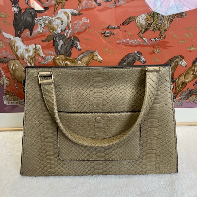 賽琳/Celine edge bag限量版蛇皮鞦韆 手提包 🈚附件-0