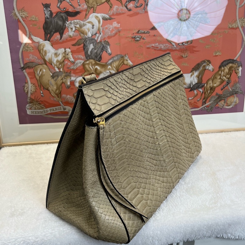 賽琳/Celine edge bag限量版蛇皮鞦韆 手提包 🈚附件-1