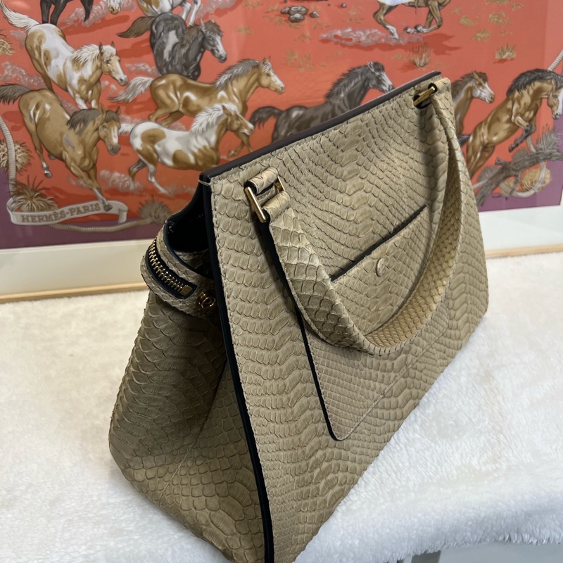 賽琳/Celine edge bag限量版蛇皮鞦韆 手提包 🈚附件-3