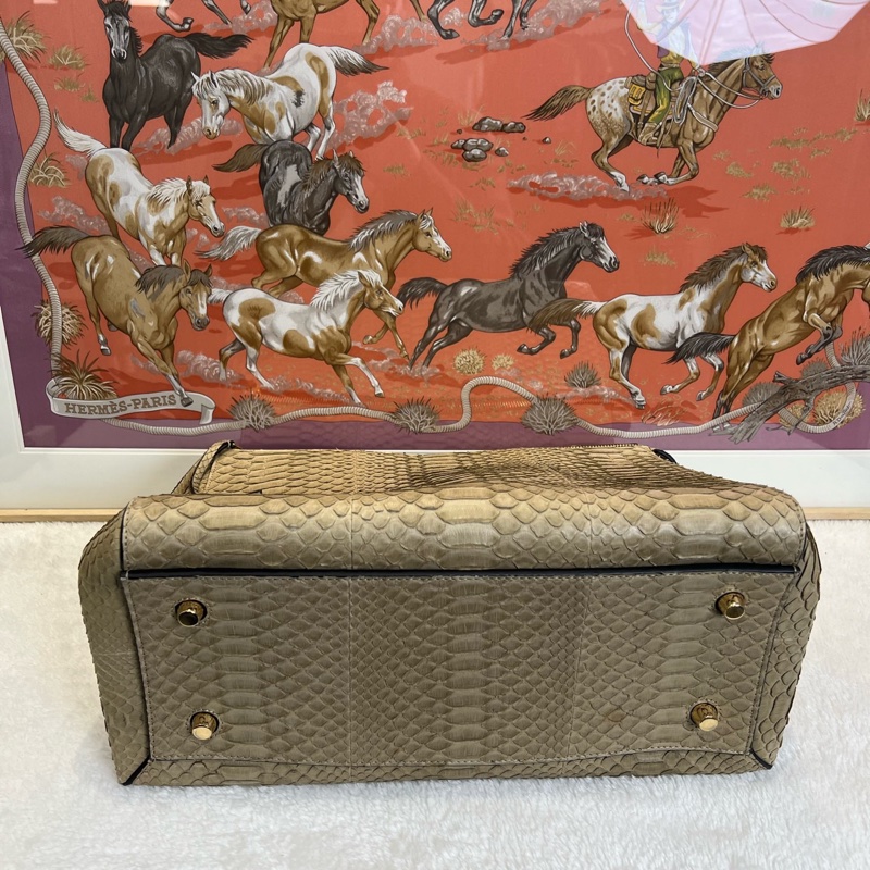 賽琳/Celine edge bag限量版蛇皮鞦韆 手提包 🈚附件-4