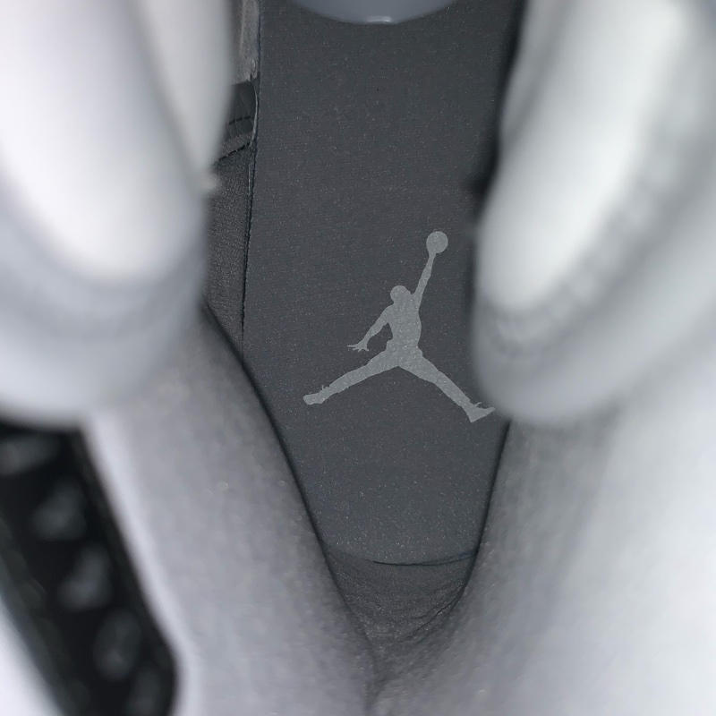 Dior x Air Jordan 1 High高筒-9