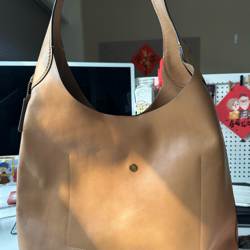 Coach BROOKLYN 39 單肩手袋-1