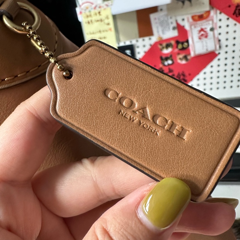 Coach BROOKLYN 39 單肩手袋-3