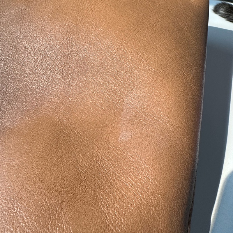 Coach BROOKLYN 39 單肩手袋-11