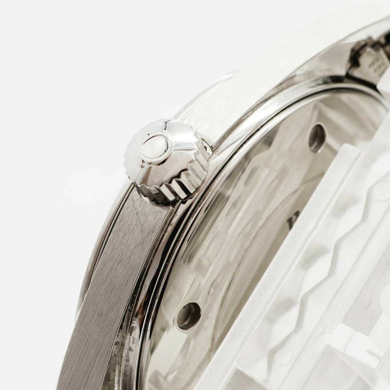 歐米茄海馬系列 2517.30 銀色錶盤男士腕錶-8