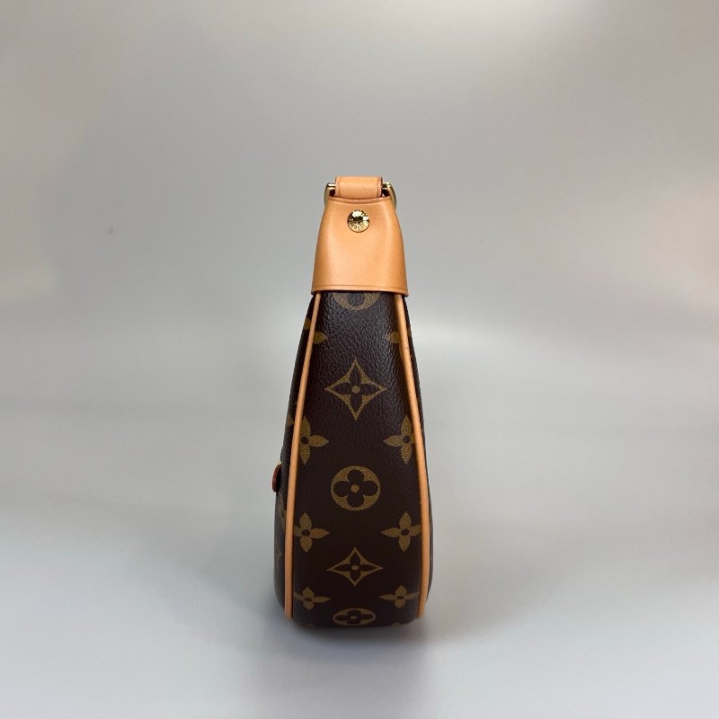 LV LOOP老花月亮包-2