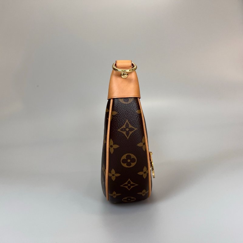 LV LOOP老花月亮包-3