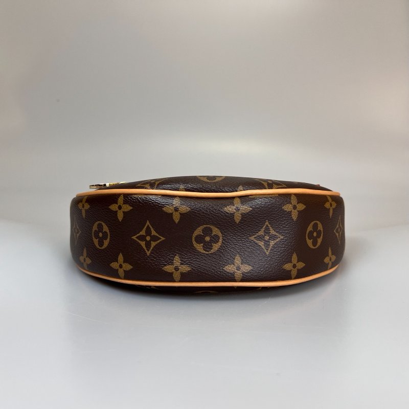 LV LOOP老花月亮包-4