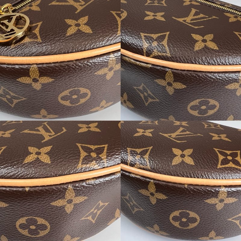 LV LOOP老花月亮包-13