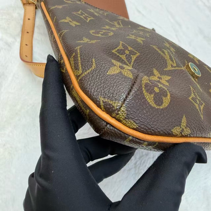 LV路易威登 王菲包 竪版 斷貨王絕版款式 老花滿印 可調節肩帶斜挎包-6