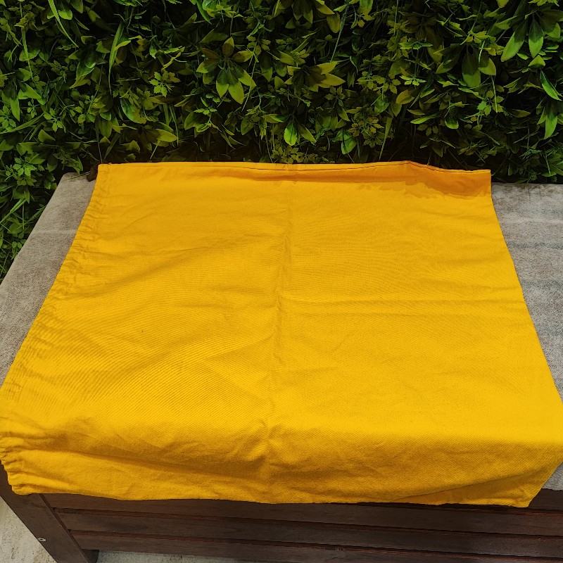 Goyard Saint Louis PM-24