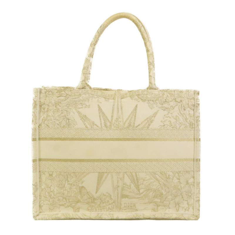Dior 帆布Book Tote Medium手挽袋-1