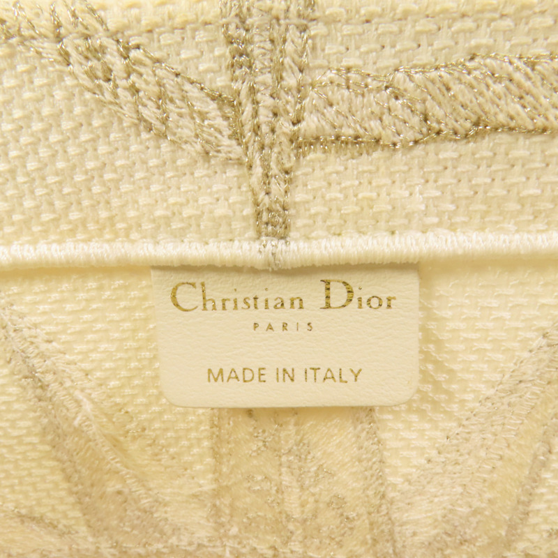 Dior 帆布Book Tote Medium手挽袋-6