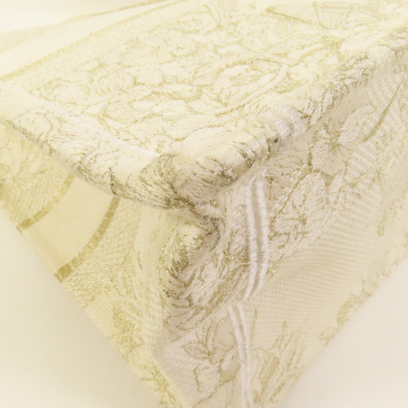 Dior 帆布Book Tote Medium手挽袋-8