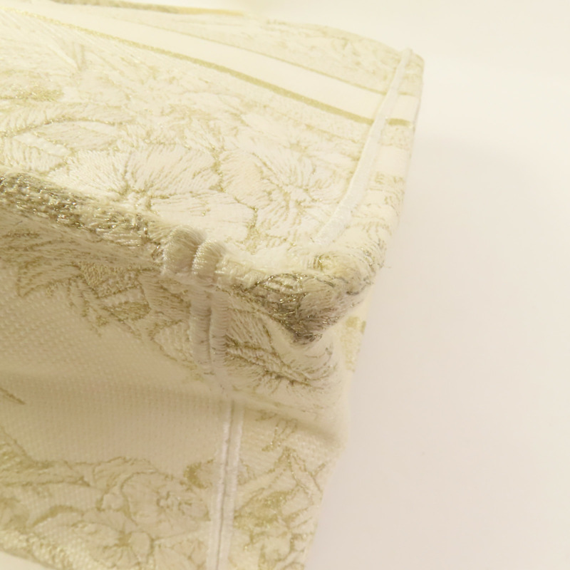 Dior 帆布Book Tote Medium手挽袋-9