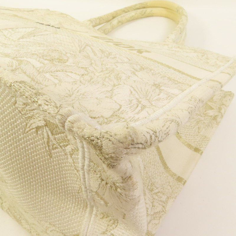 Dior 帆布Book Tote Medium手挽袋-10