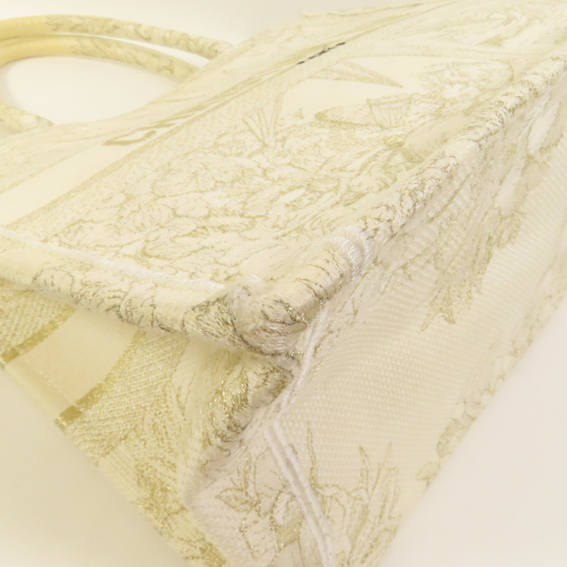 Dior 帆布Book Tote Medium手挽袋-11
