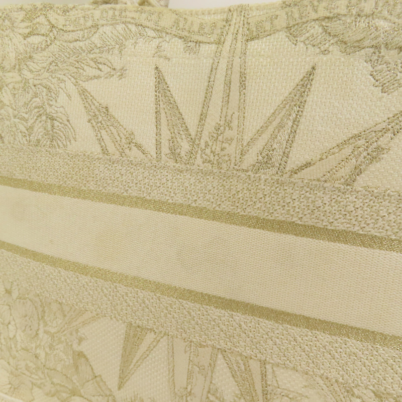 Dior 帆布Book Tote Medium手挽袋-13