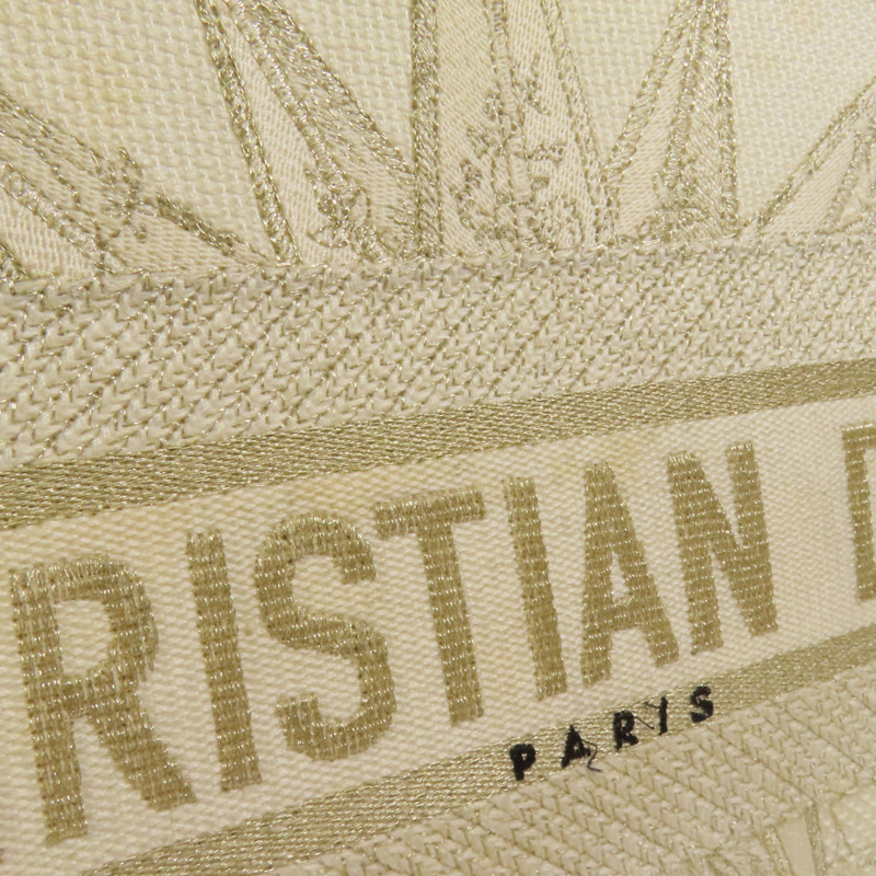 Dior 帆布Book Tote Medium手挽袋-14