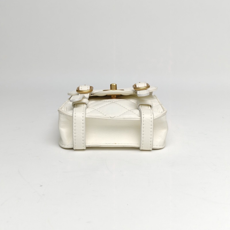 CHANEL CF季節款21秋冬豎版劍橋包白色牛皮晶片開金扣-3